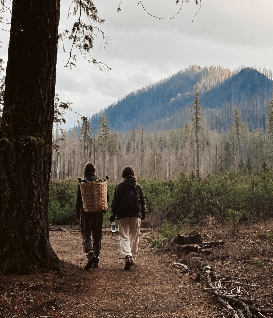 November 2026 Oregon Yoga Retreat